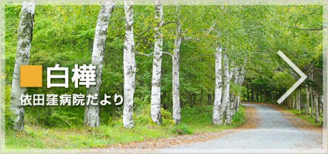 クリックして「病院広報誌「白樺」依田窪病院だより」へ移動します